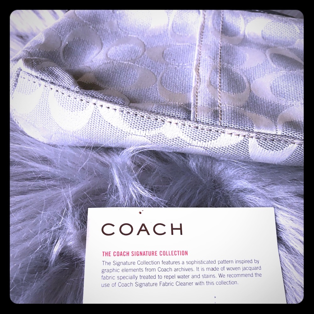 Used Small wristlet